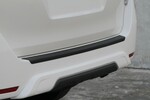 RR BUMPER STEP GUARD